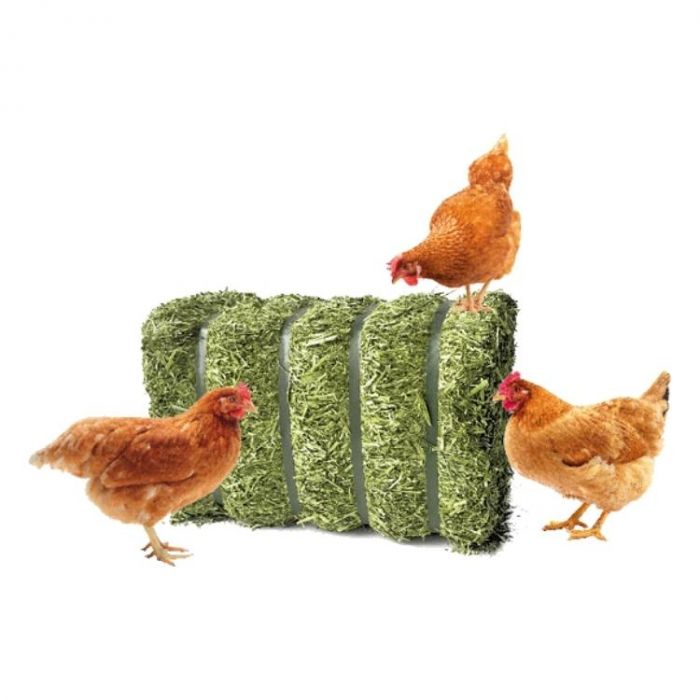 Luzerne Pluimvee 20 kg