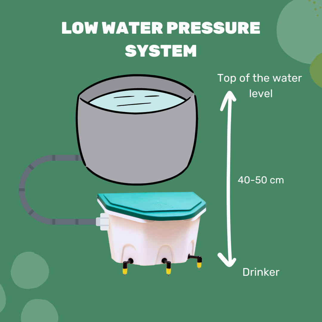 AviAqua Bakjes afbeelding 5