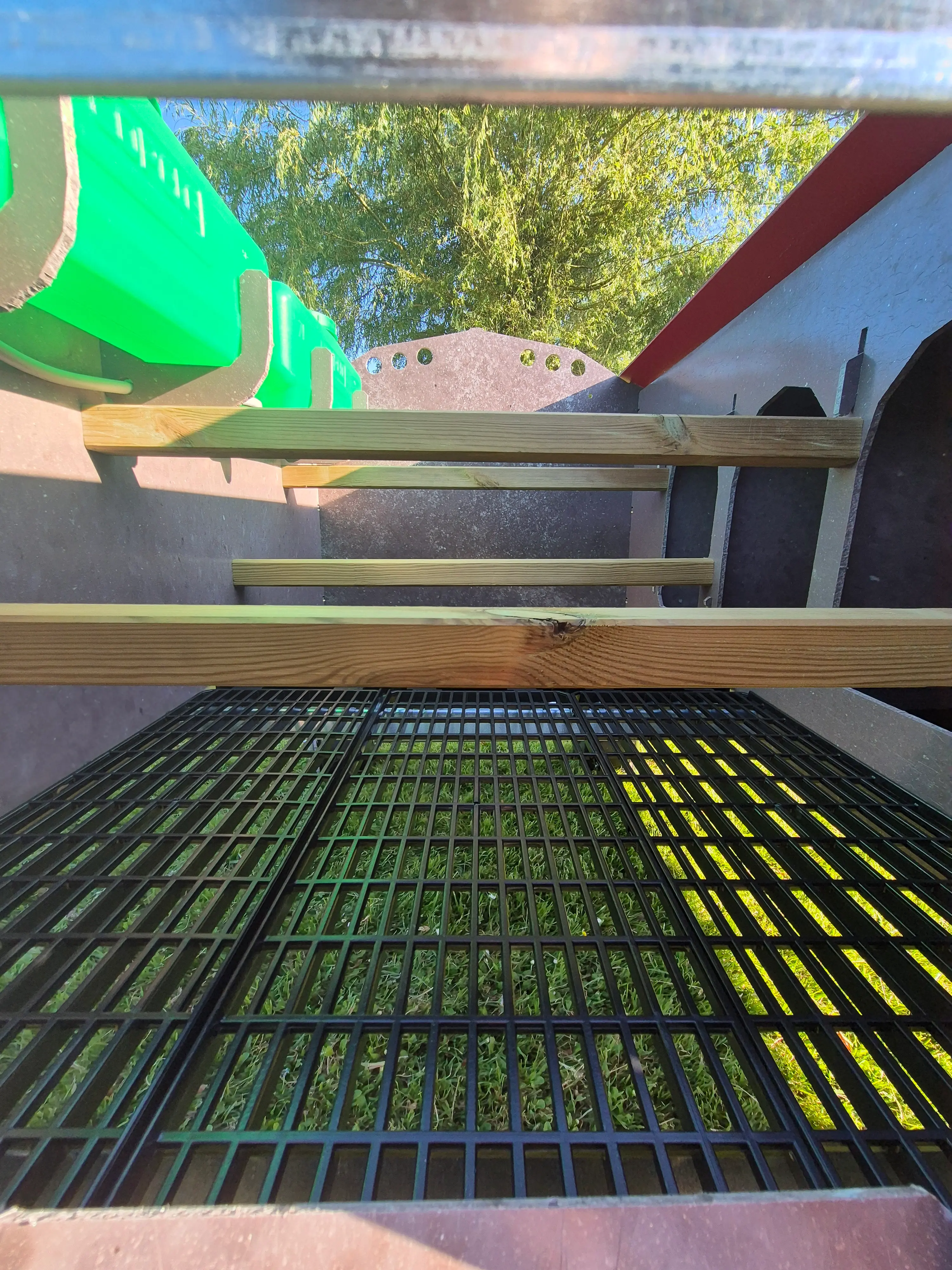 Kippen Caravan Large afbeelding 5