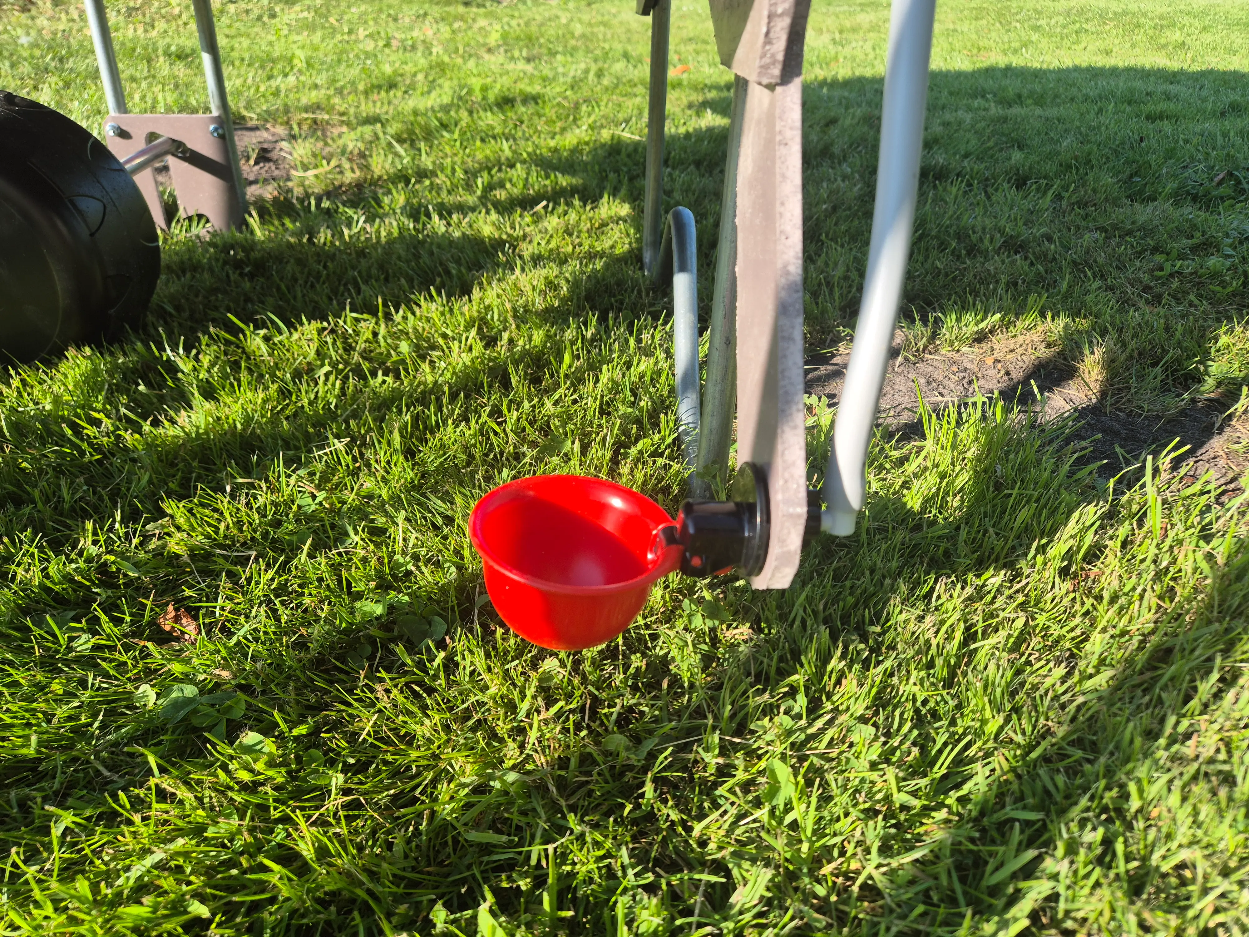 Kippen Caravan Small afbeelding 7