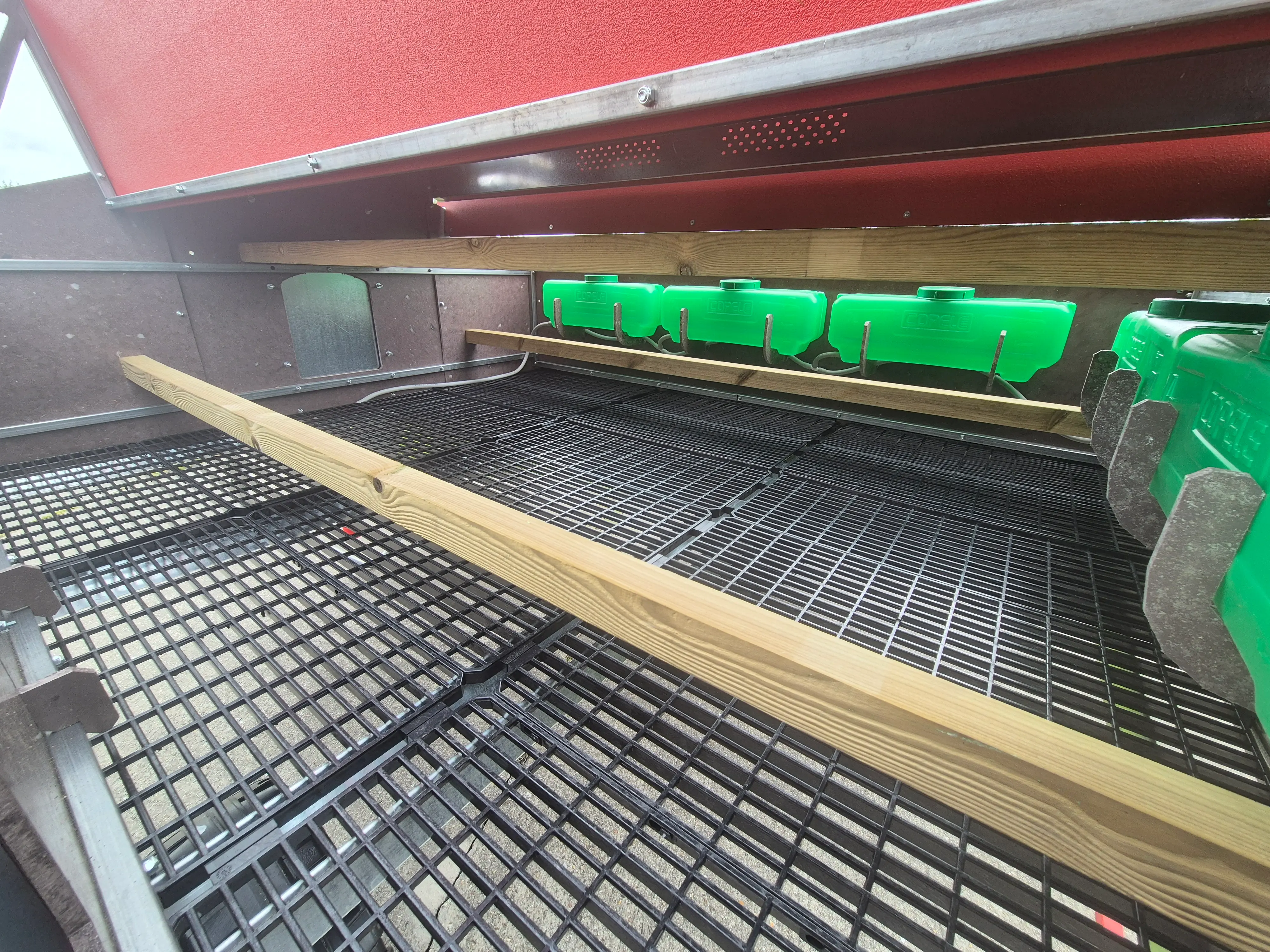 Kippen Caravan XL afbeelding 3