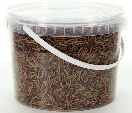 Meelwormen 5,5 liter emmer