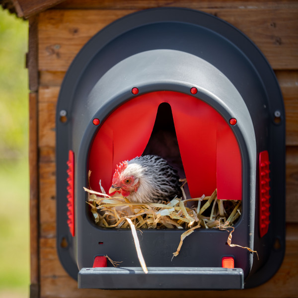 MyCozyNest kunststof legnest afbeelding 7