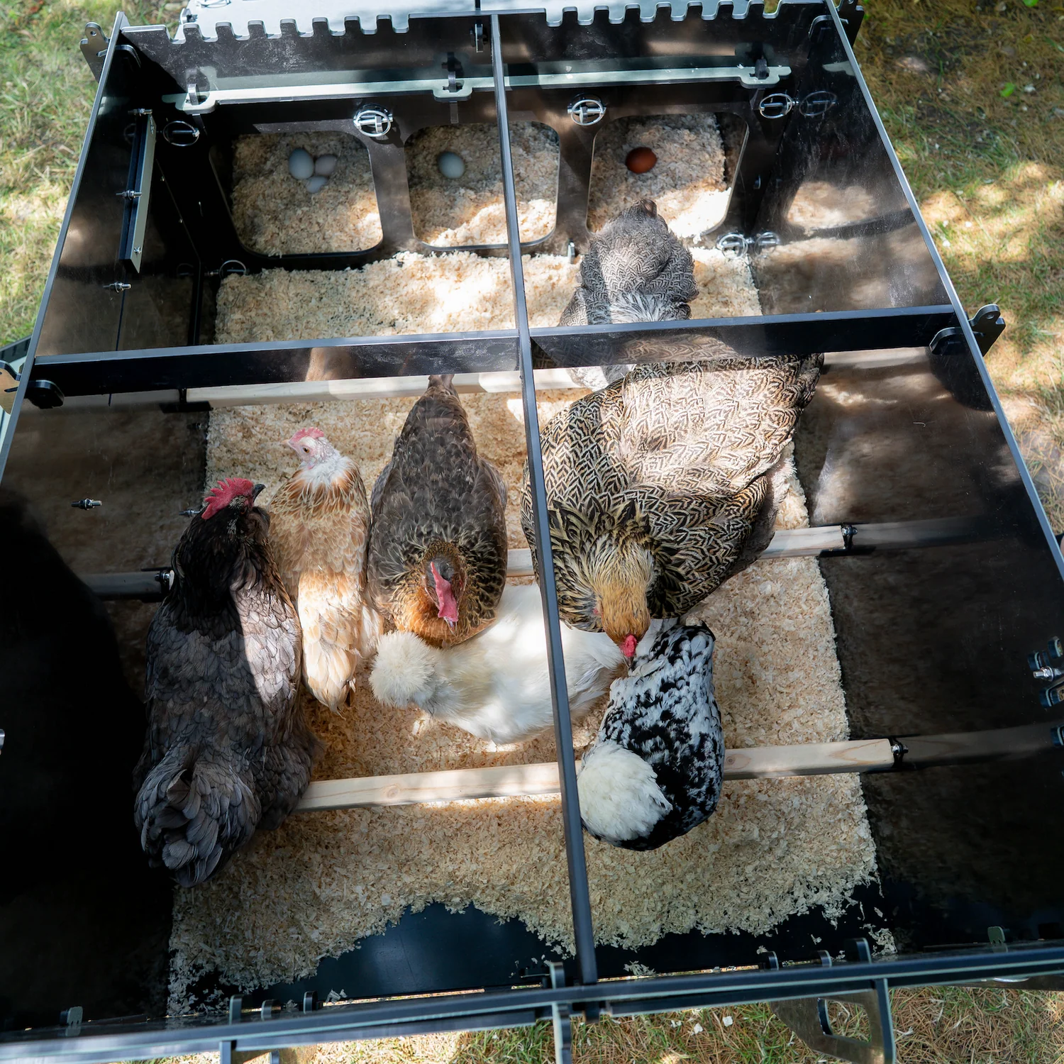 Nestera Aspen 10 afbeelding 2