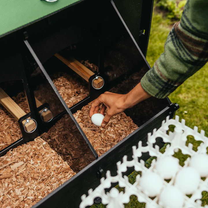 Nestera House Medium afbeelding 6