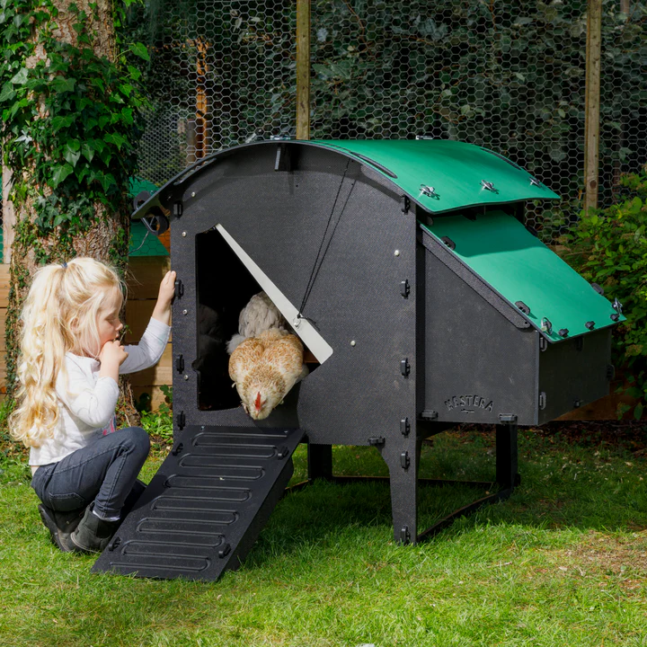 Nestera Lodge Medium