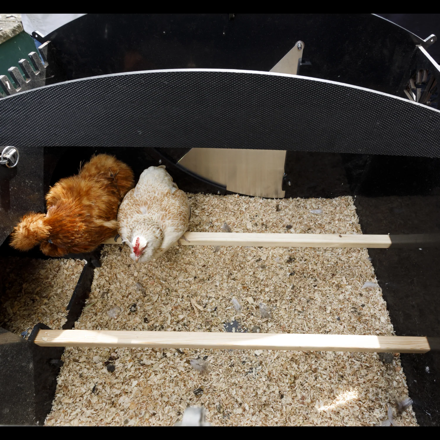 Nestera Penthouse Large afbeelding 12