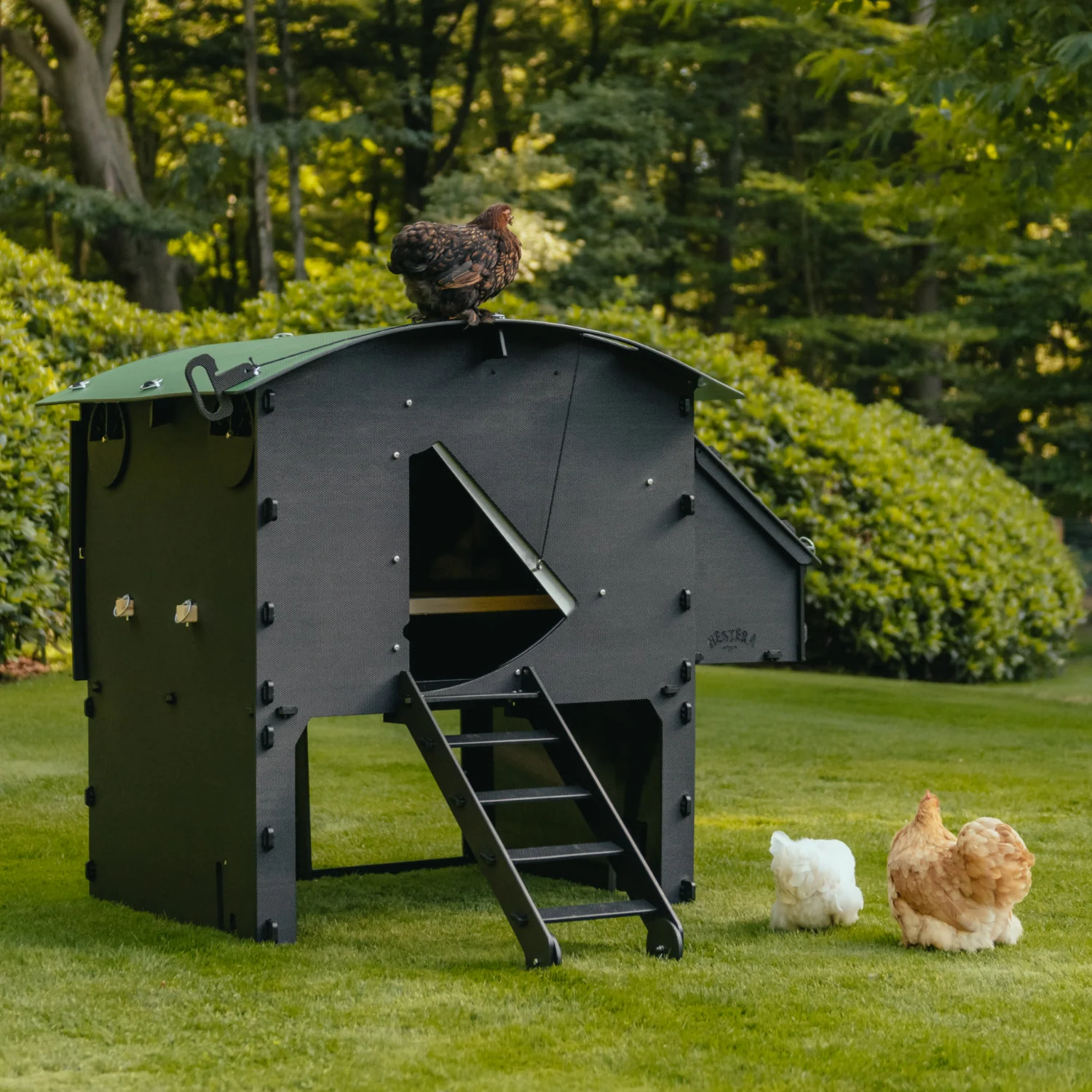 Nestera Penthouse Large