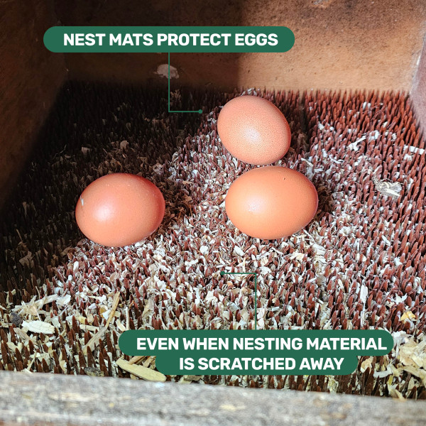 Nestmatje bruin  afbeelding 3