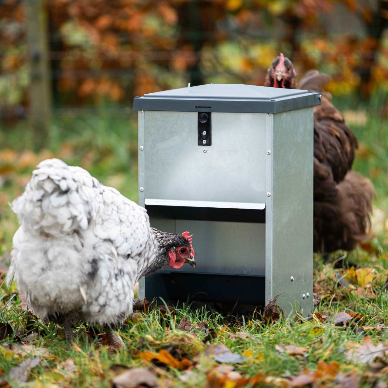 Outdoor feeder verzinkt 5kg antraciet afbeelding 3