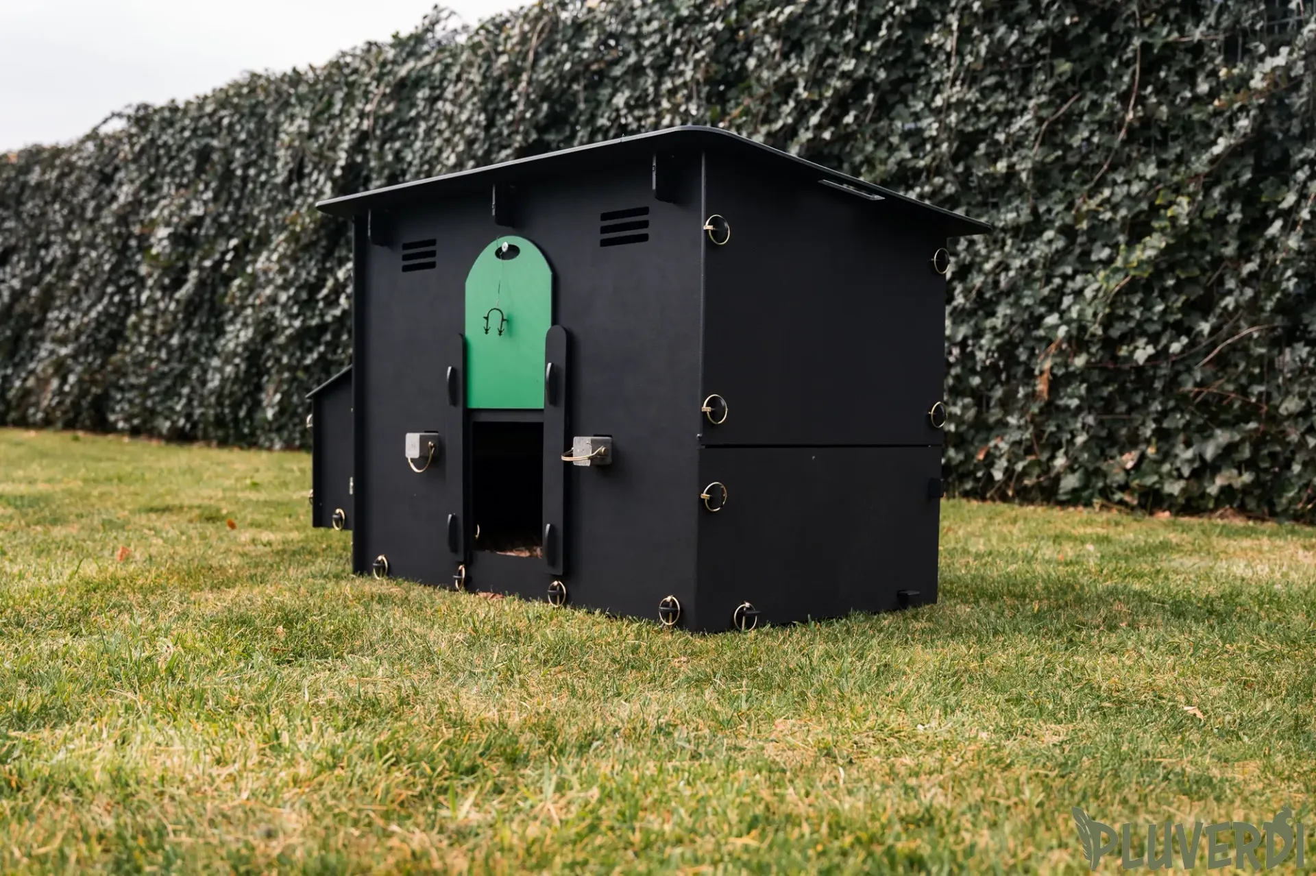 Pluverdi Berlin afbeelding 2