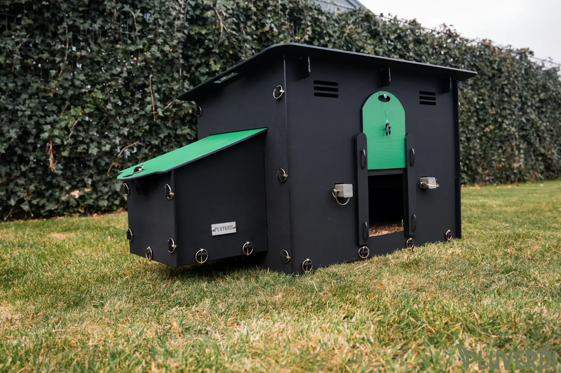 Pluverdi Berlin afbeelding 3