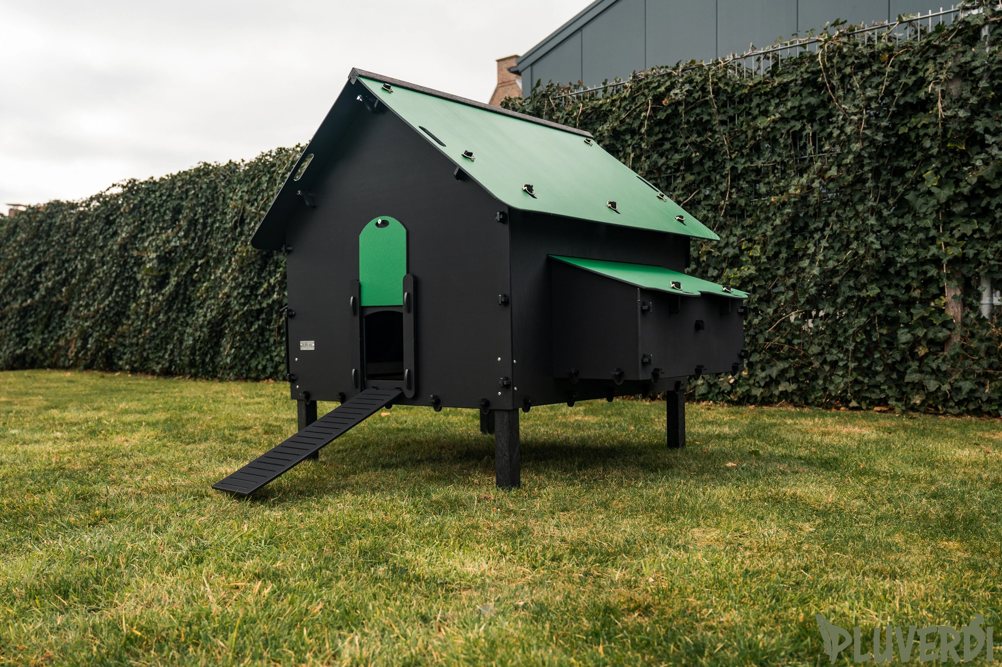 Pluverdi Brussel  afbeelding 3