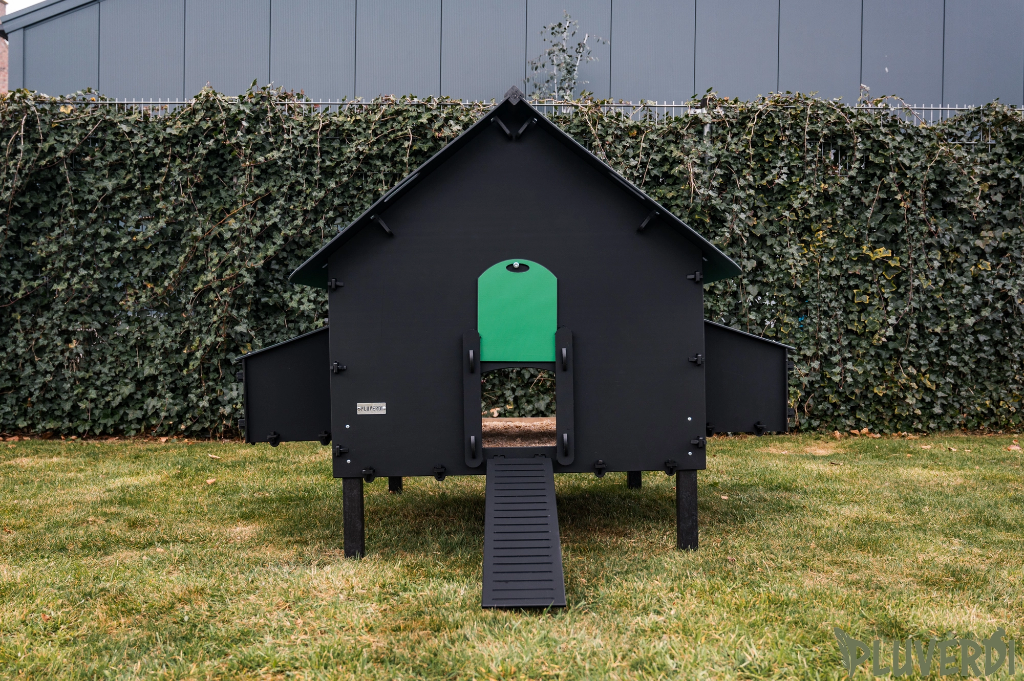 Pluverdi Brussel  afbeelding 4