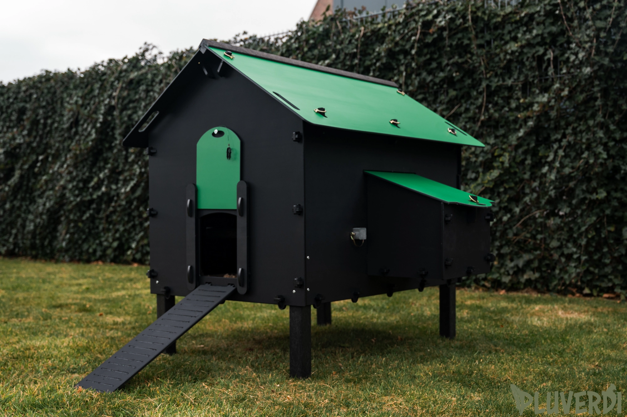 Pluverdi Paris afbeelding 3