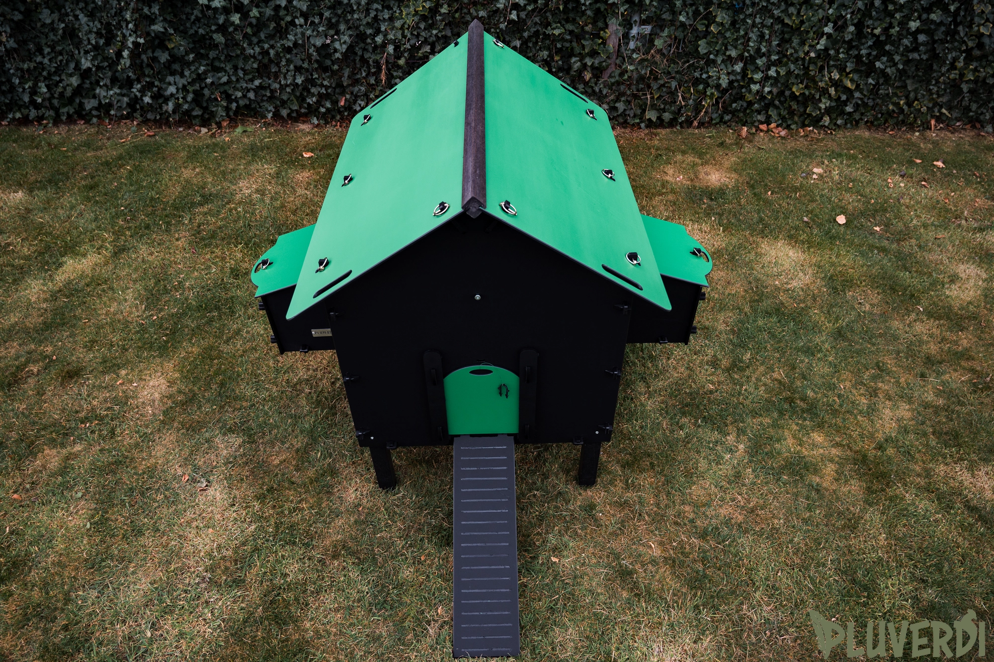 Pluverdi Paris afbeelding 8