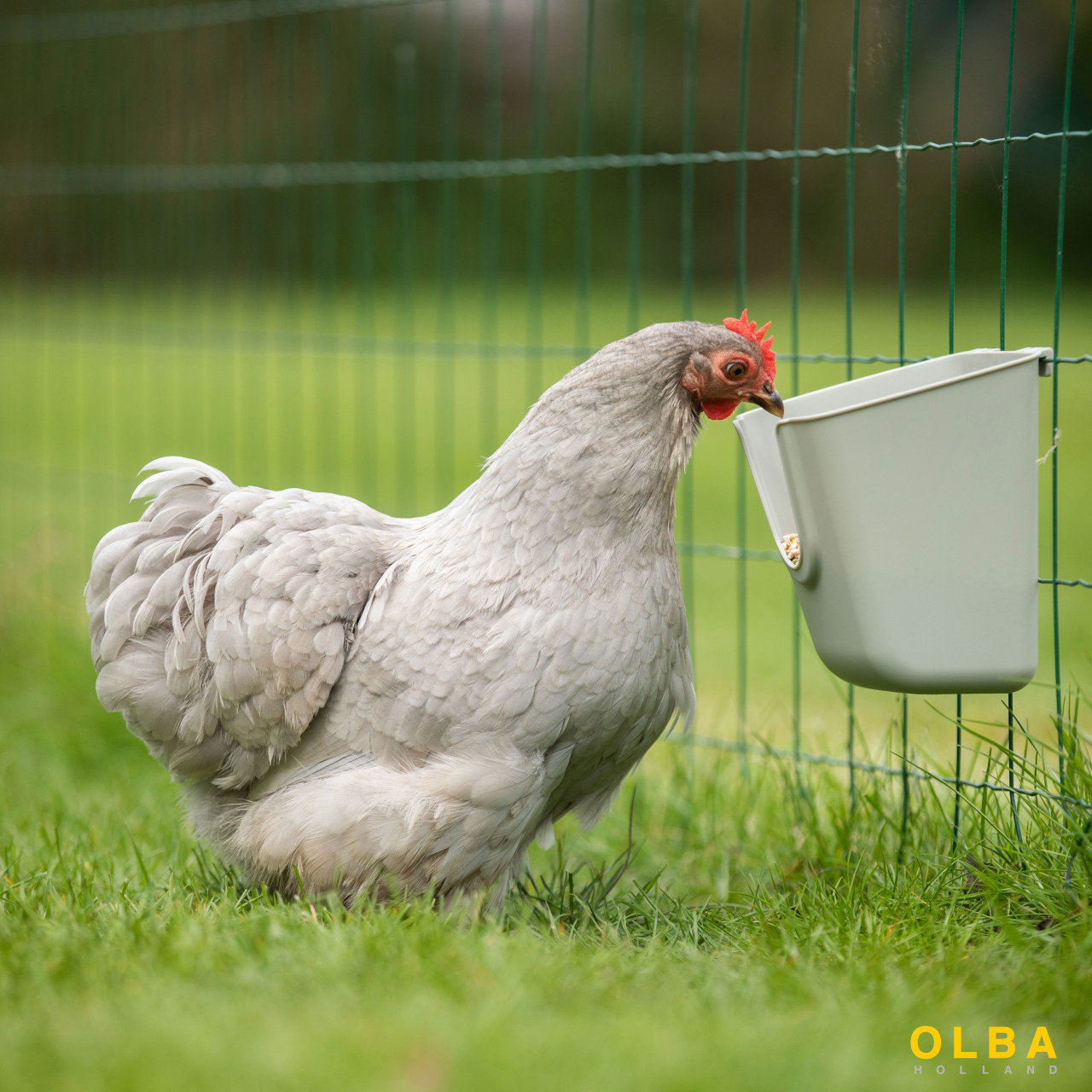 VFeedr Indoor 400, 600, 800 ml afbeelding 4