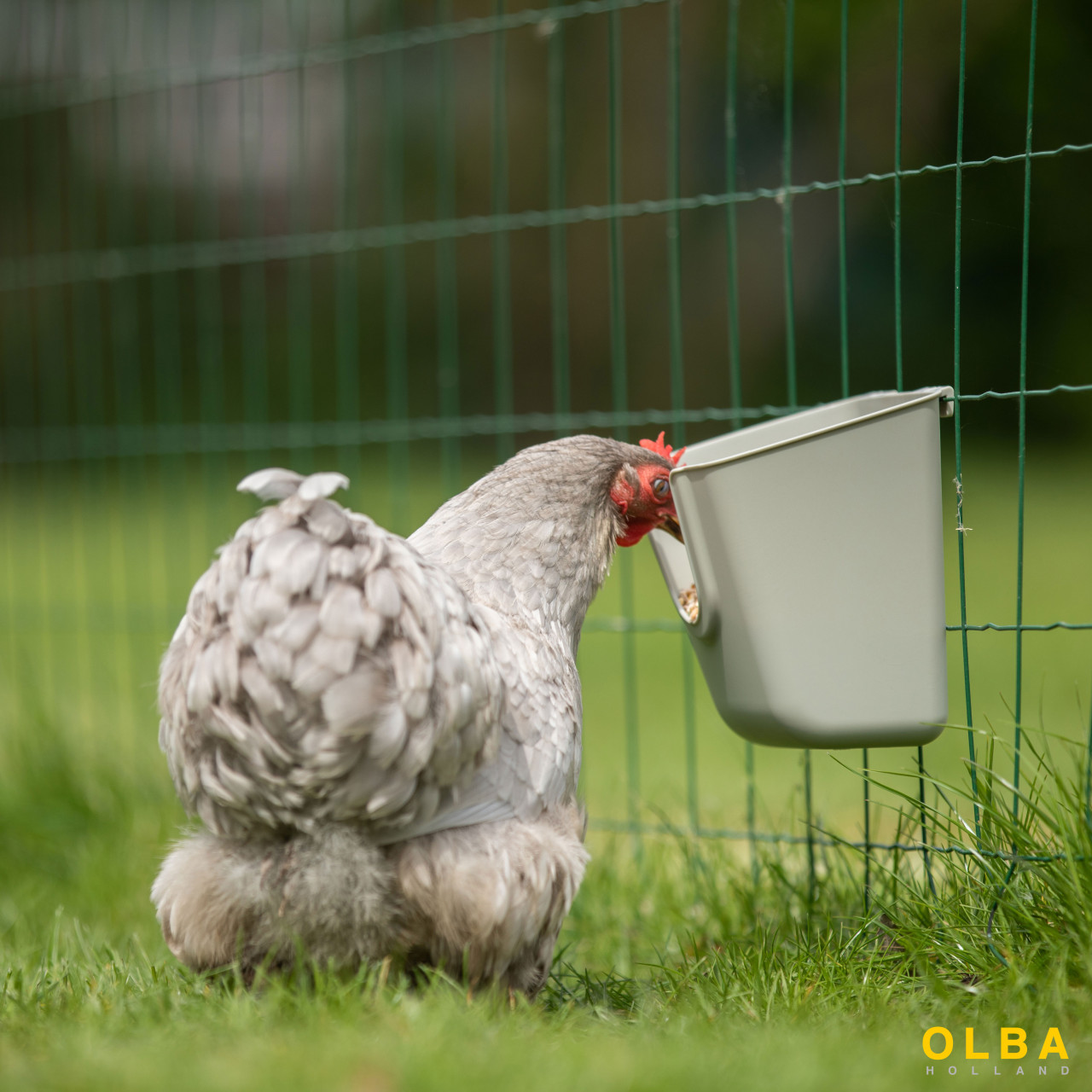 VFeedr Indoor 400, 600, 800 ml afbeelding 5