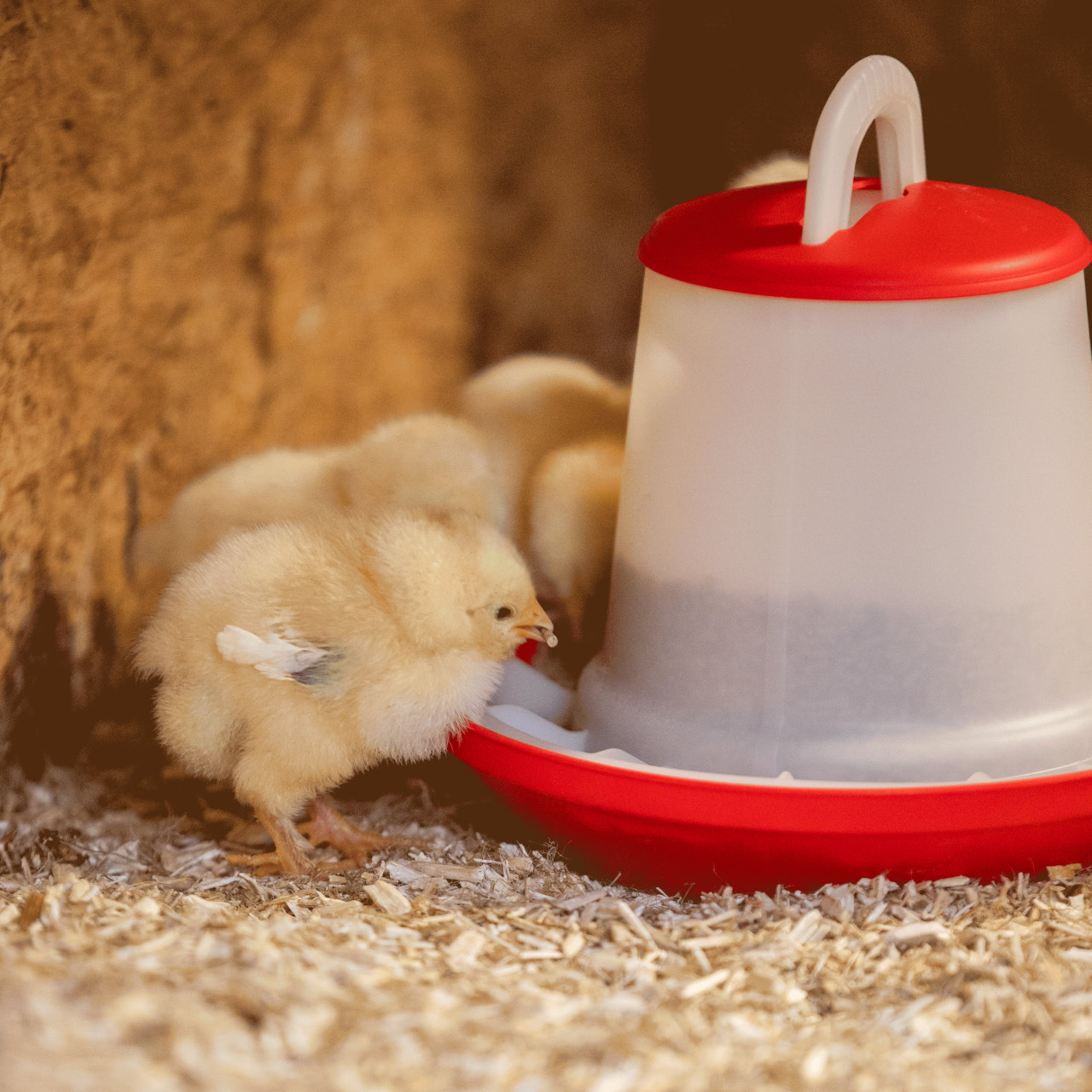 Voersilo 2-level 1 KG Groen afbeelding 5